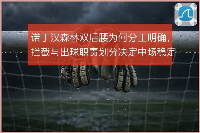 诺丁汉森林双后腰为何分工明确,拦截与出球职责划分决定中场稳定性